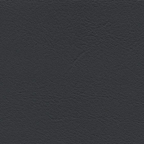 f6461197