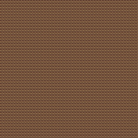 YN091