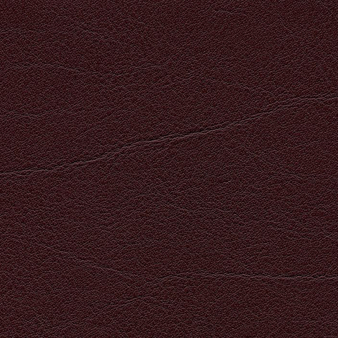 f6461350