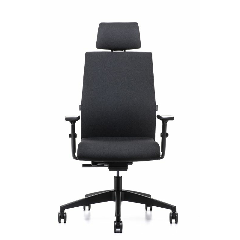 Interstuhl-Ergonomic-179RS-Frontansicht