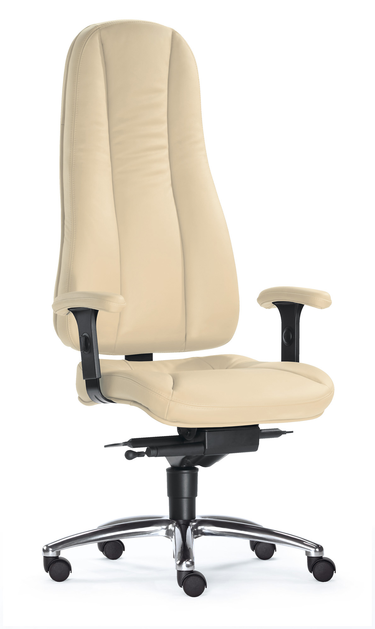 dynamik1-hochlehner-512creme