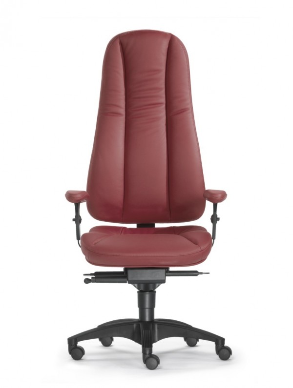 dynamik-1_frontal_leder-rot-_z159101eb50fa85