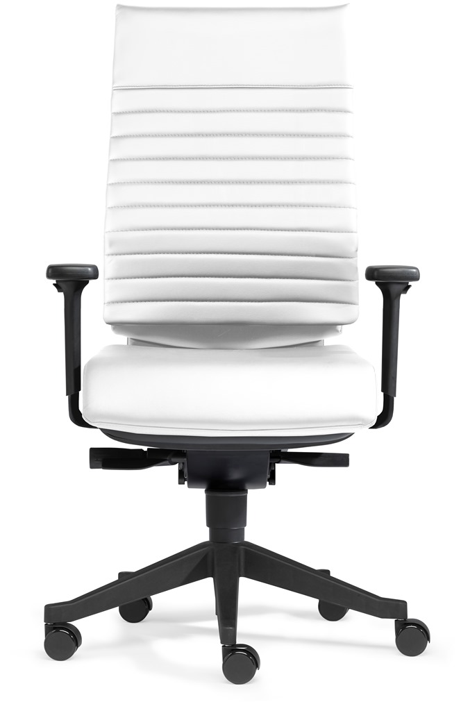 buerostuhl-kaufen-gesteppte-rueckenlehne